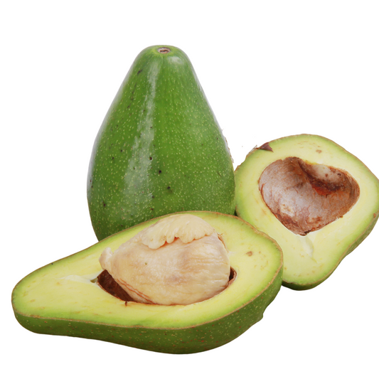 Aguacate  x Unidad