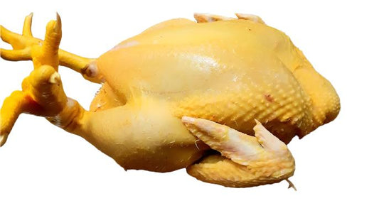 Gallina criolla x Unidad