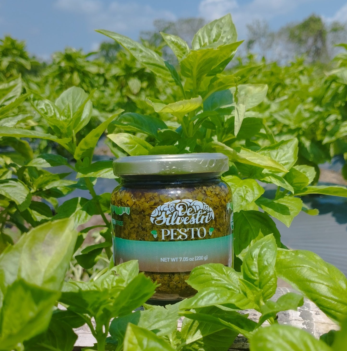 Pesto orgánico x 200 g