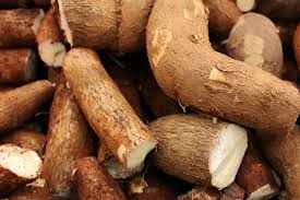 Yuca x Kg