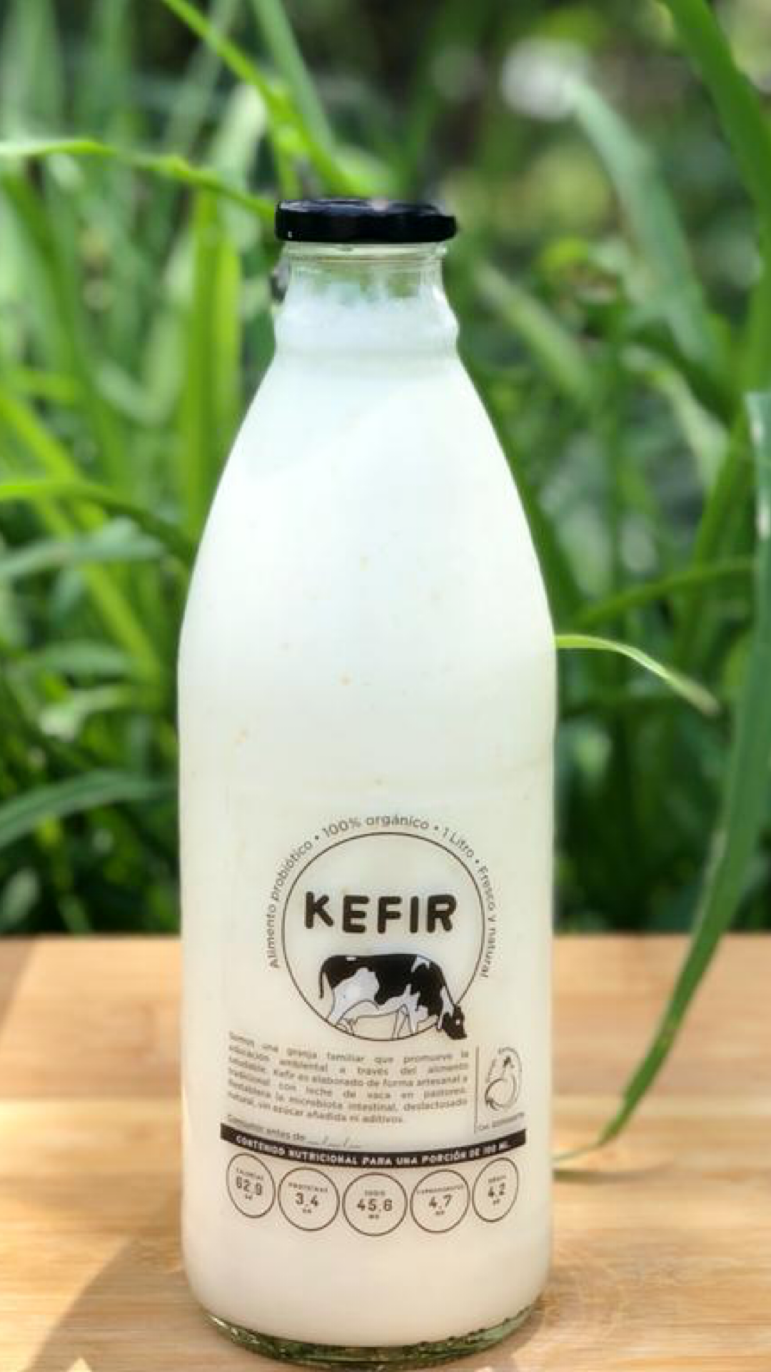 Kefir Orgánico 100% Natural x 1L