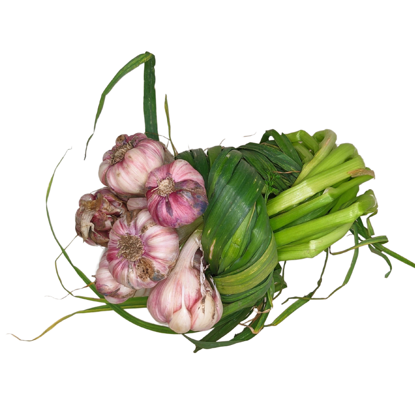 Ajo Nacional Fresco Orgánico x 200gr