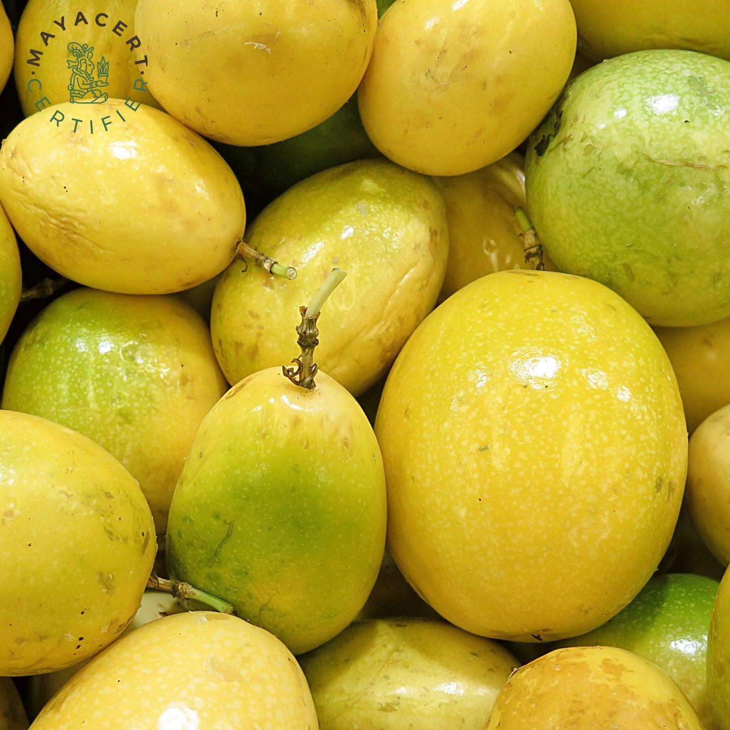 Maracuyá x 500g