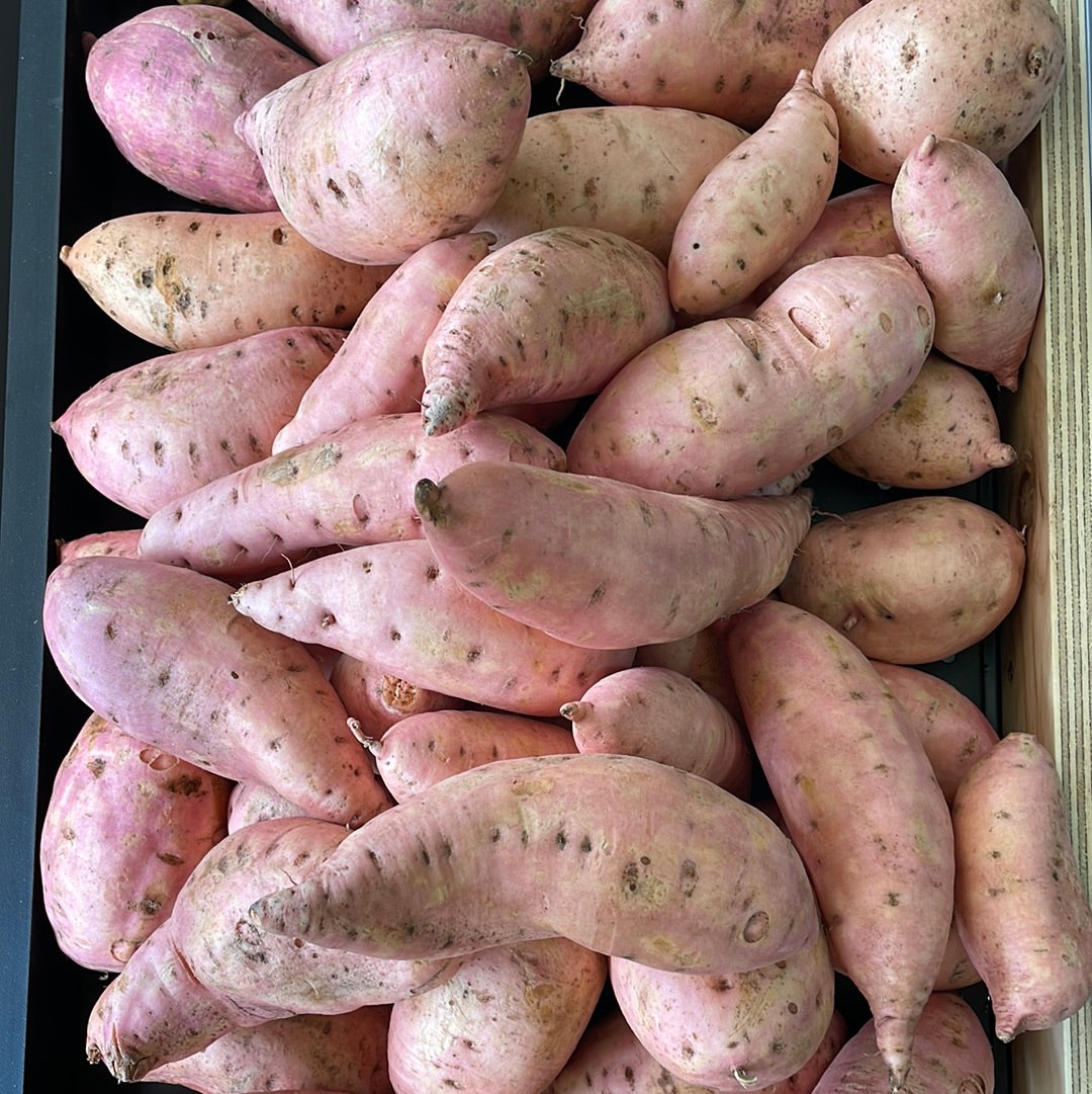 Batata Orgánica x Kg.