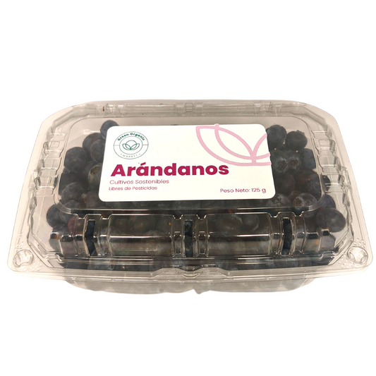 Arándanos Orgánicos x 125 g