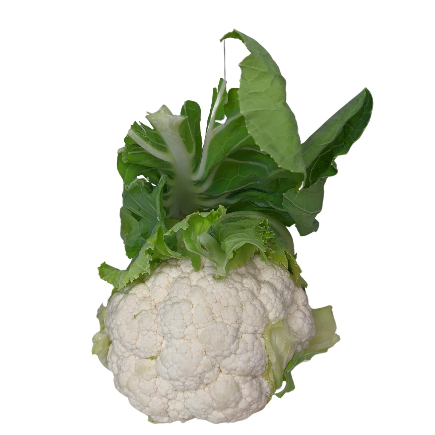 Coliflor Orgánico x Unidad