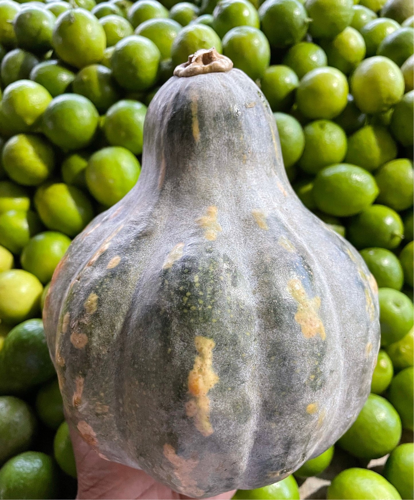 Ahuyama