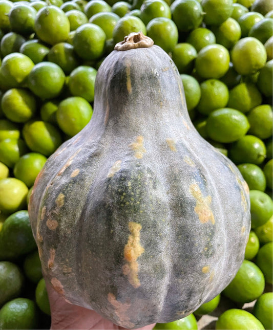 Ahuyama