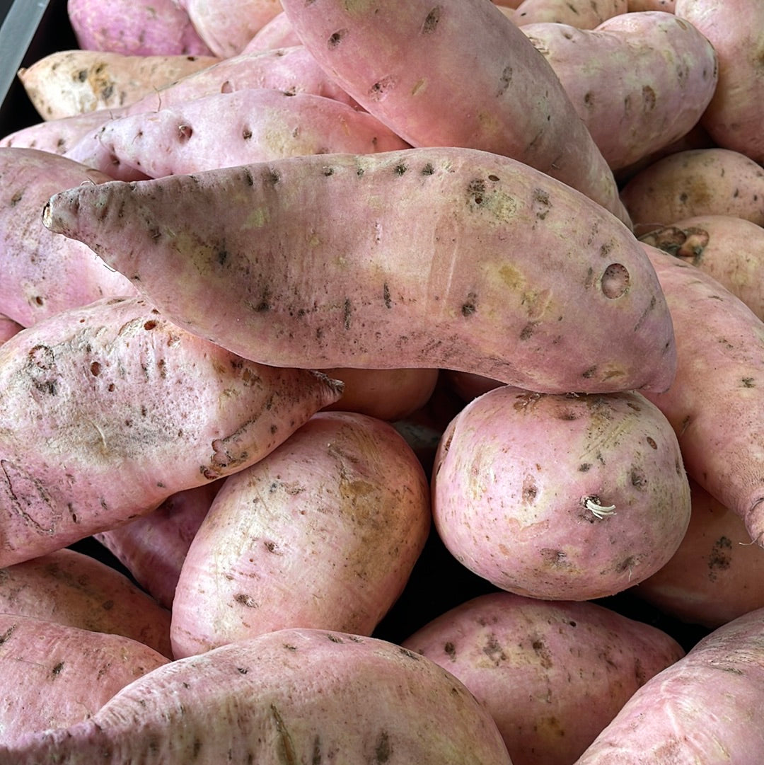 Batata Orgánica x Kg.