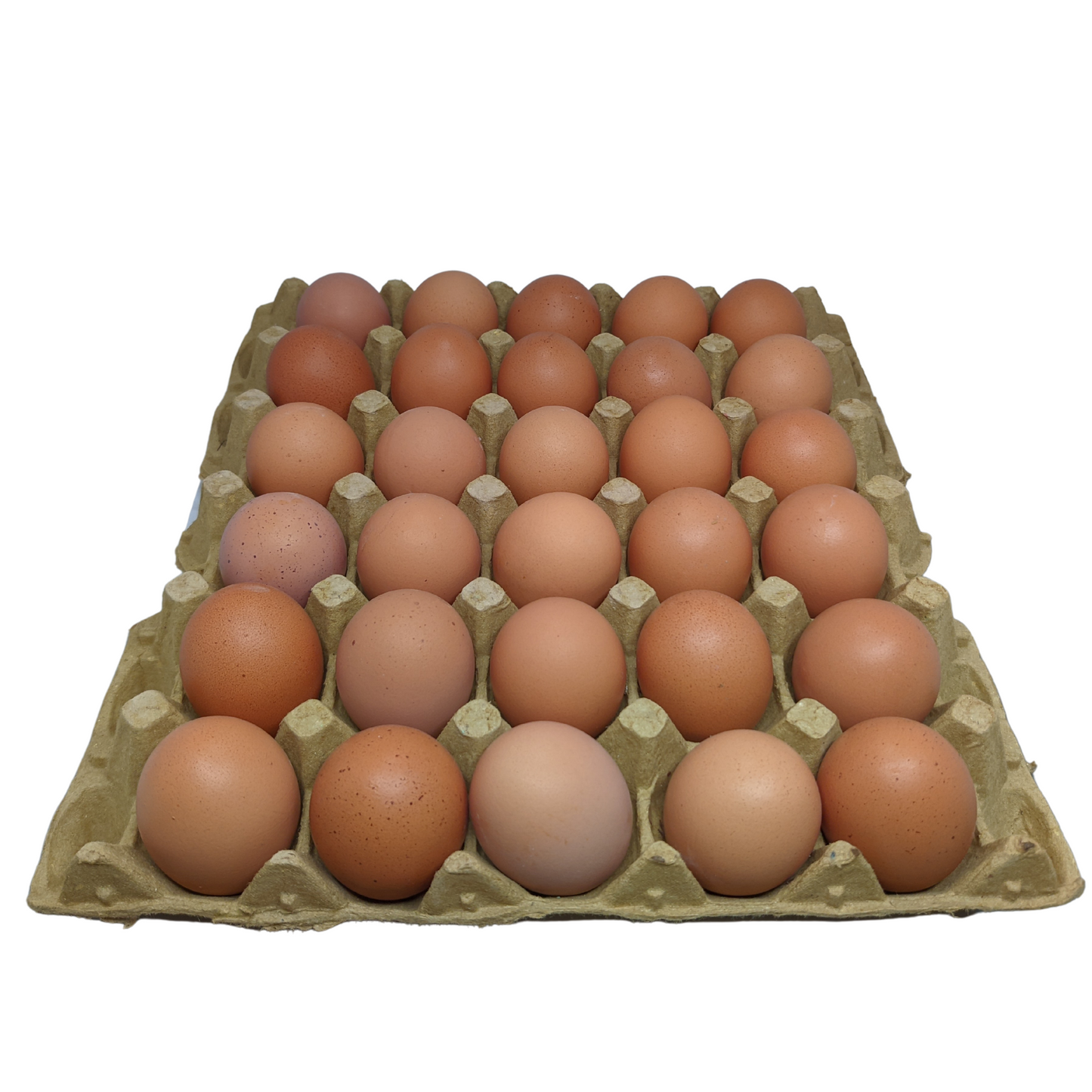 Huevos Criollos Rojos x 30 unidades