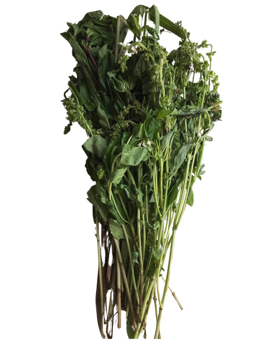 Albahaca x 150 g