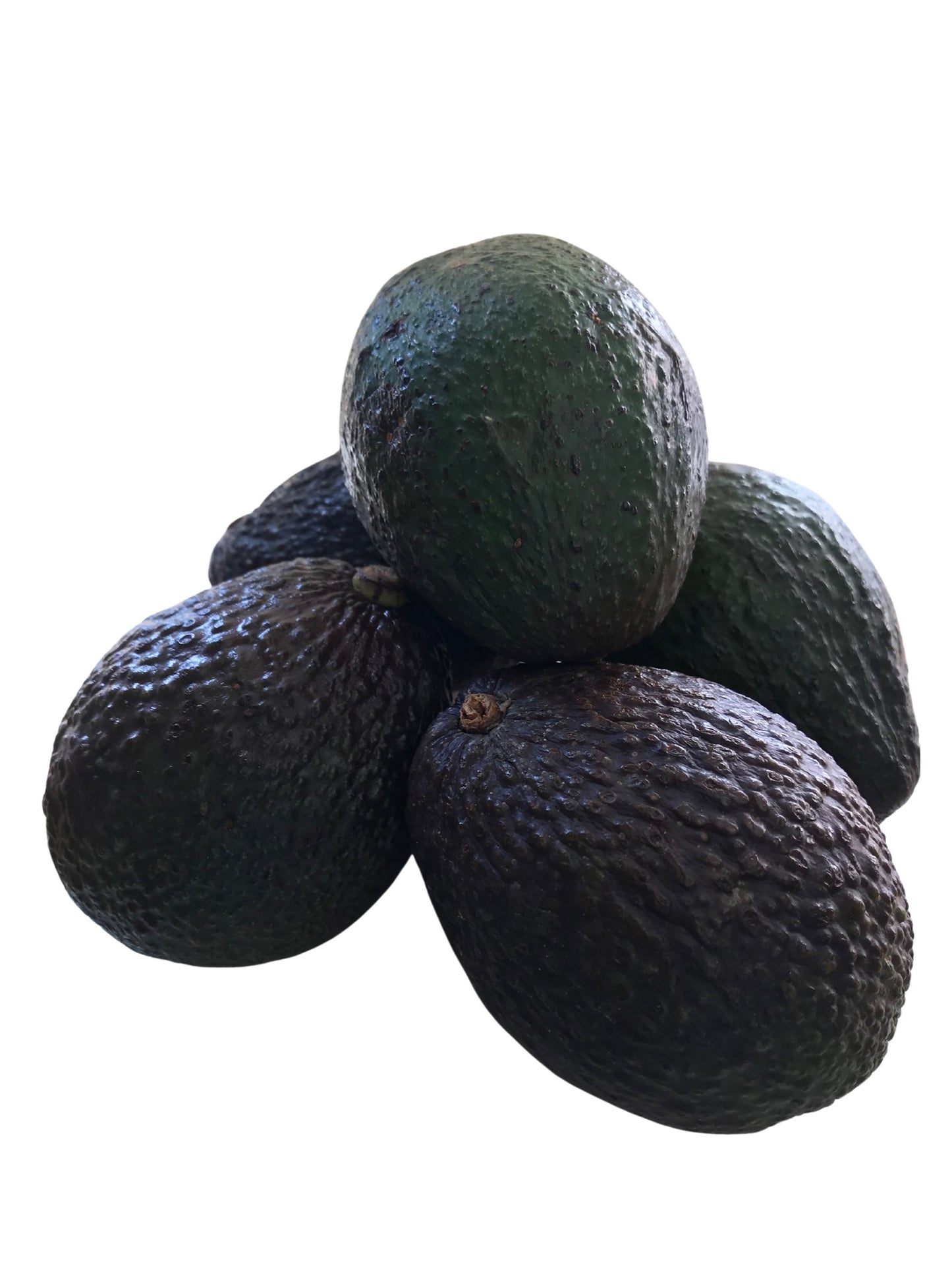 Aguacate Hass orgánico x Unidad