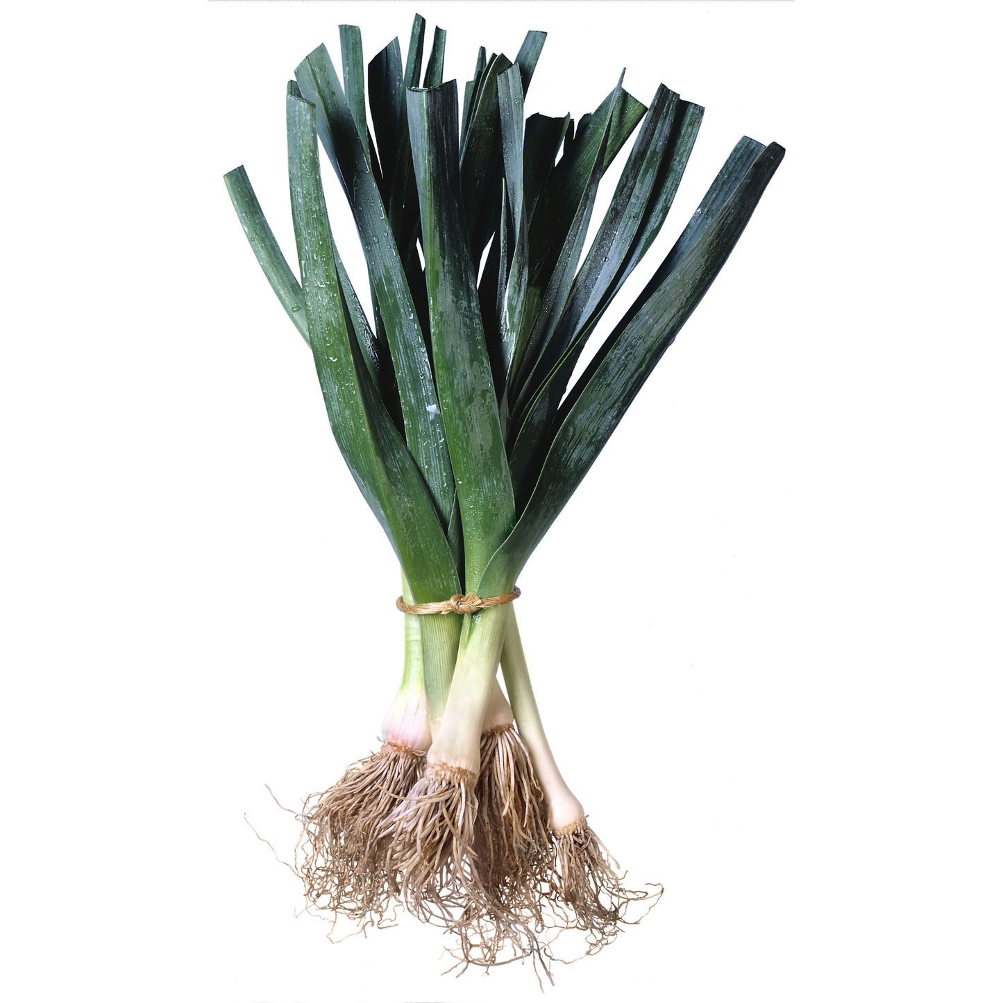 Cebolla Puerro Orgánica x 500g