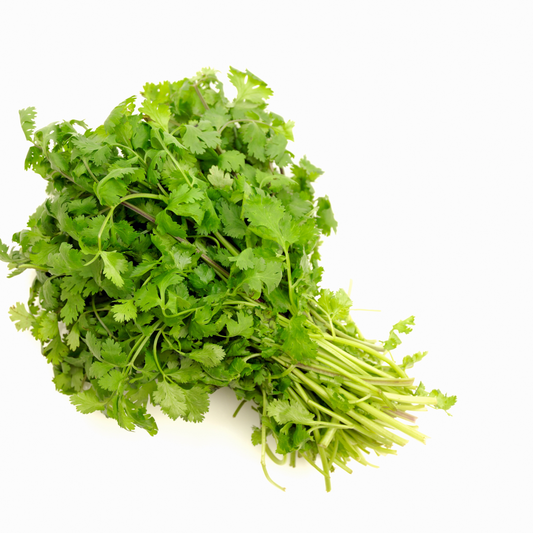 Cilantro x 150g