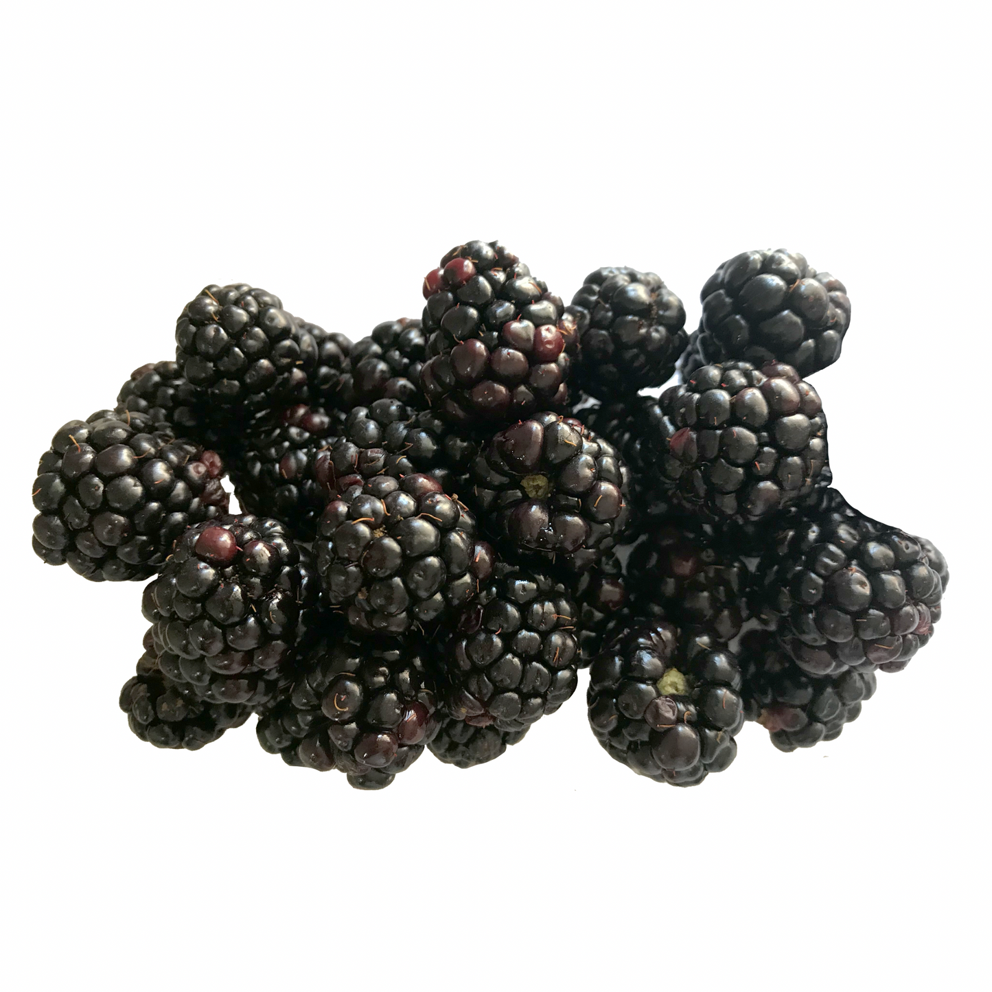 Blackberries (Mora Real orgánica) x 125 g