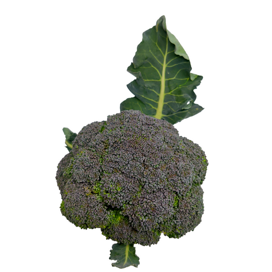 Brócoli Orgánico x Unidad