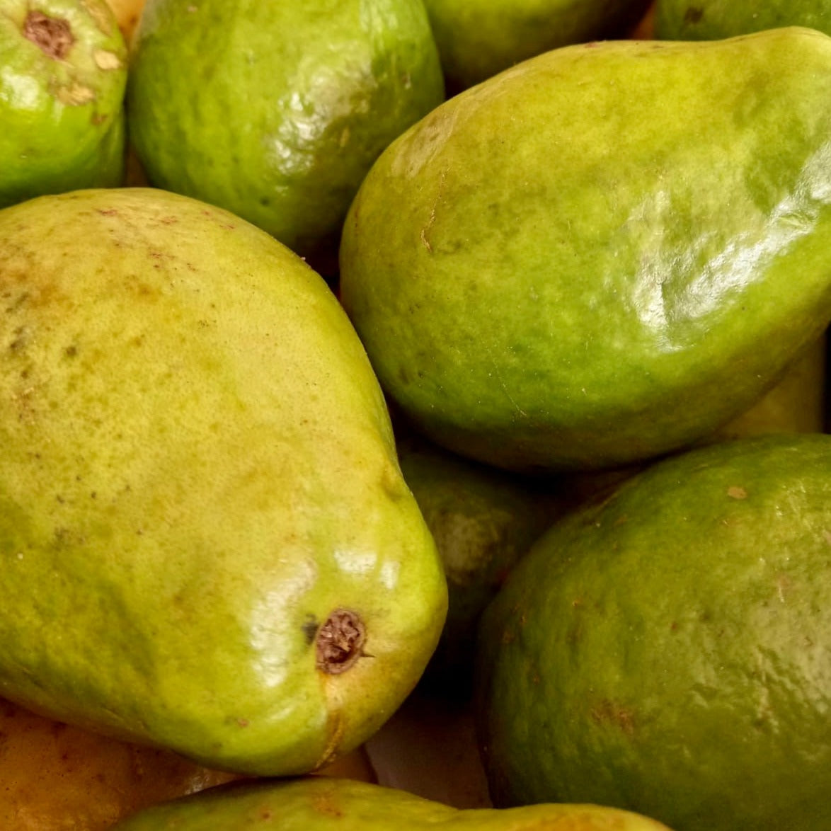 Guayaba x 500g