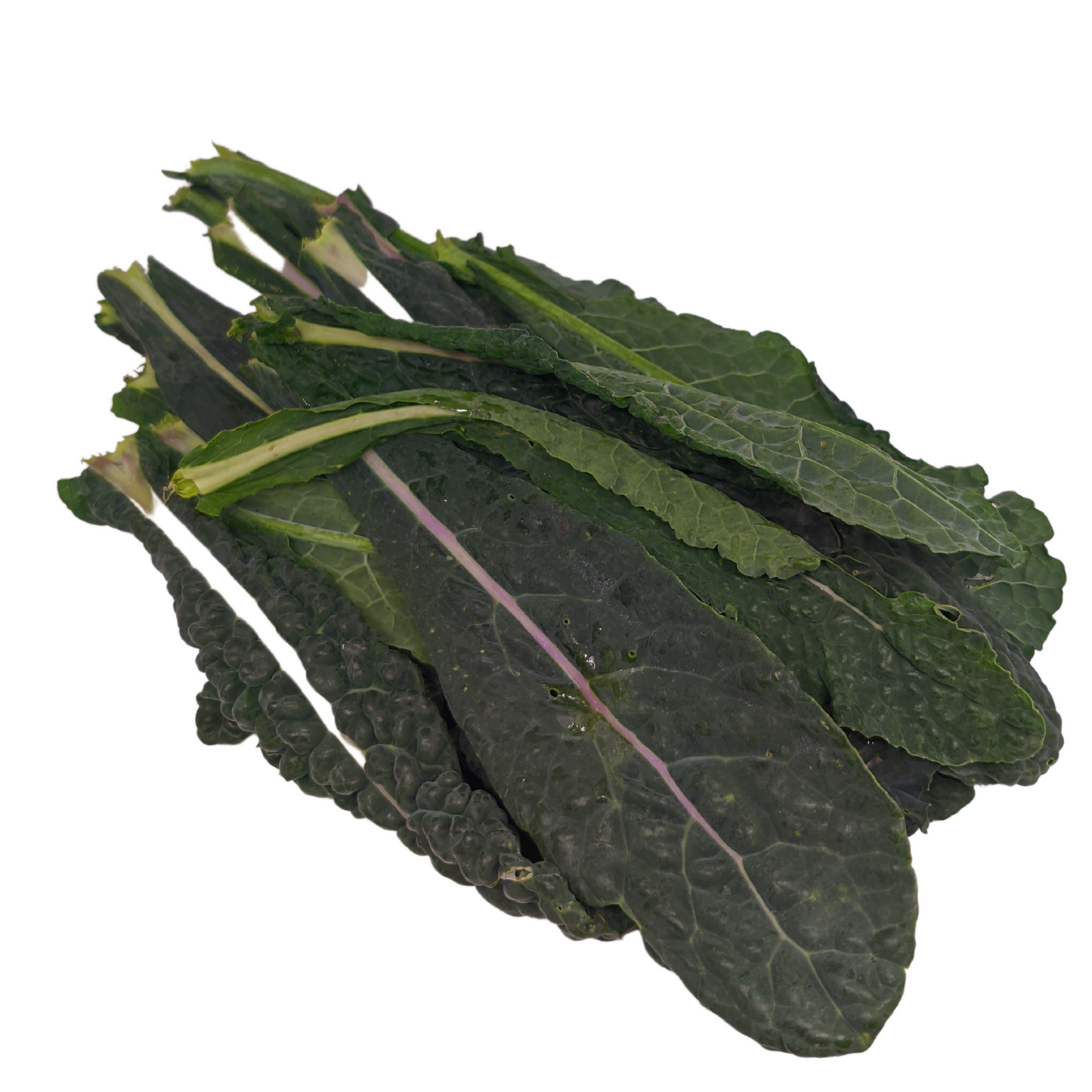 Kale Liso Orgánico x 200 g